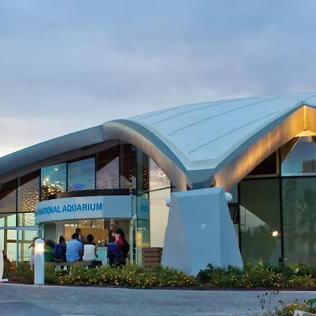 アパート Peak A1 Entire In